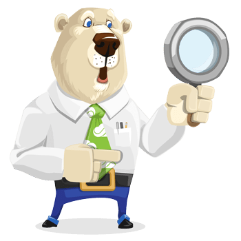 Salesforce Discovery Bear