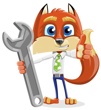 Salesforce Implementation Fox